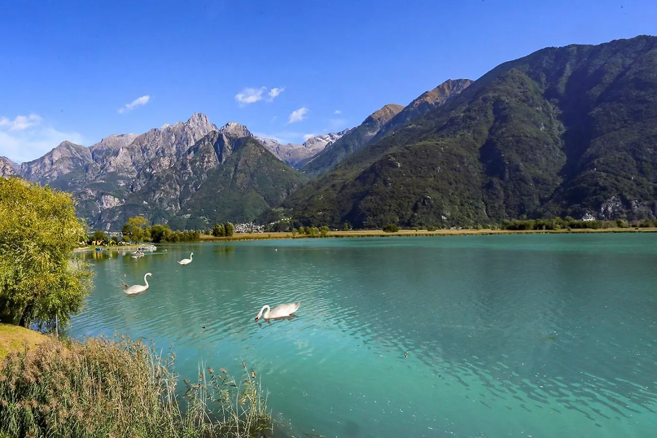 Adeline Bed & Breakfast Dascio Italy