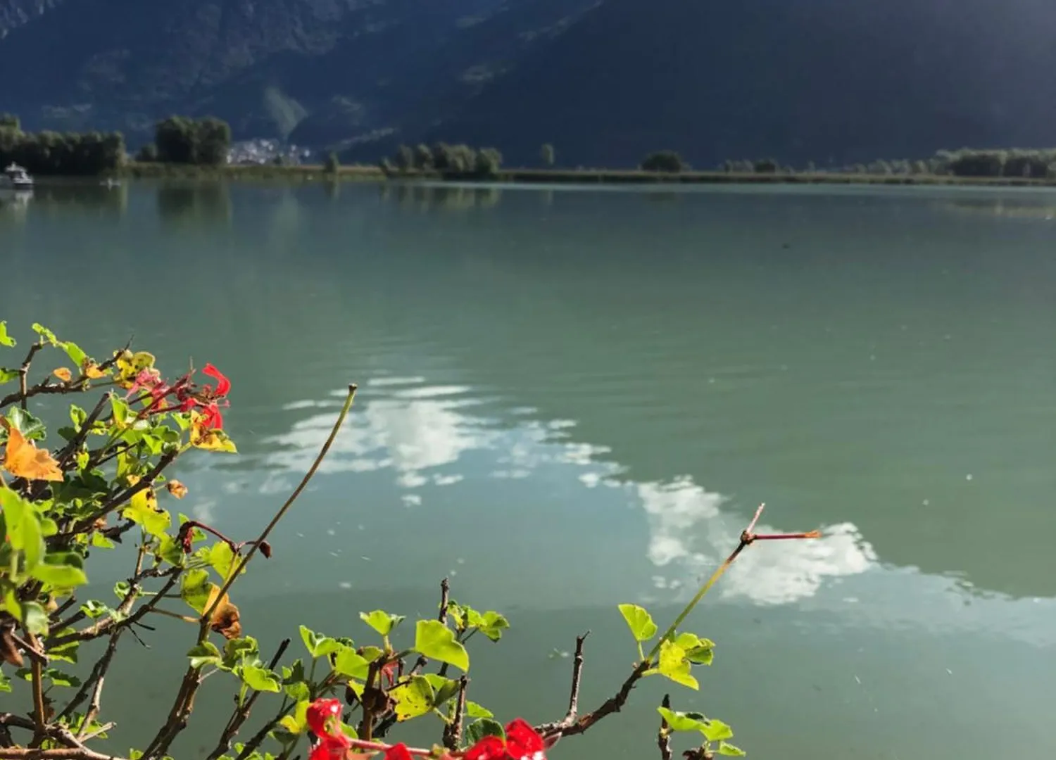 Adeline Bed & Breakfast Dascio